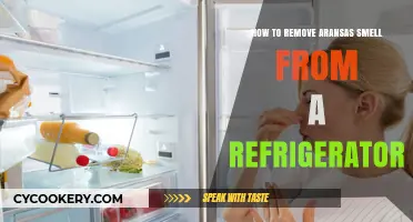 Freshen Up Your Fridge: A Guide to Eliminating Aransas Odor