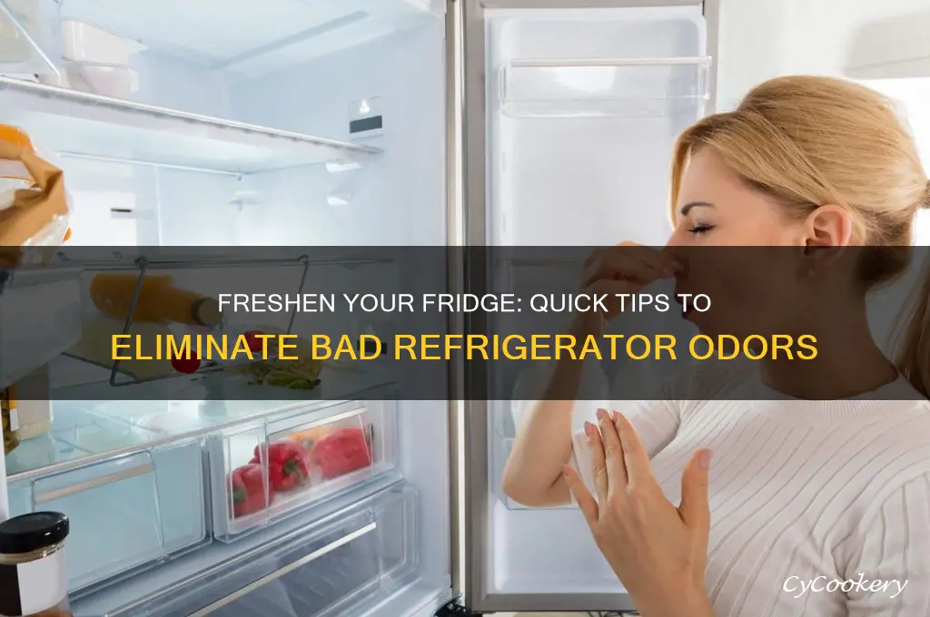 how to remove bad odor from refrigerator