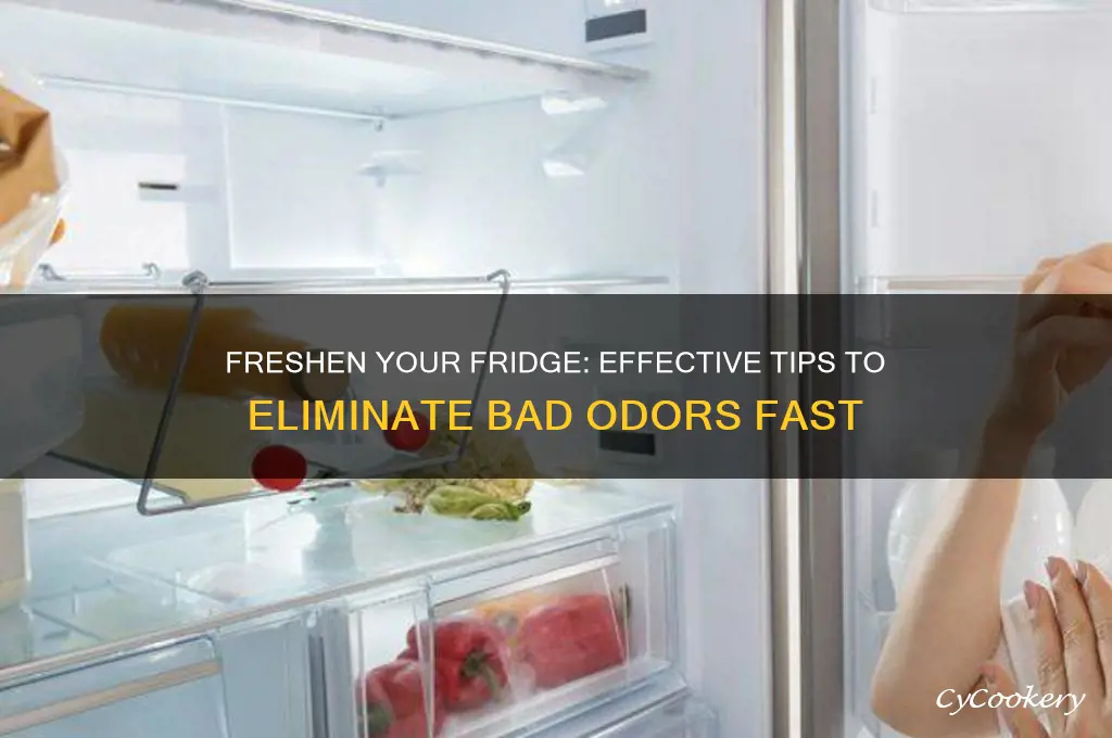 how to remove bad odour from refrigerator