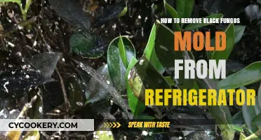 Effective Ways to Eliminate Black Fungus Mold from Your Refrigerator