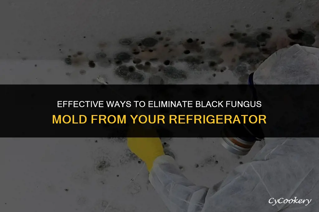 how to remove black fungus mold from refrigerator