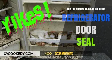 Effective Ways to Eliminate Black Mold from Your Fridge Door Seal