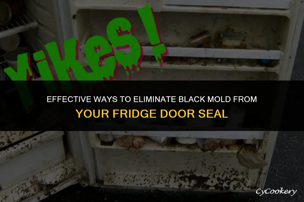 how to remove black mold from refrigerator door seal