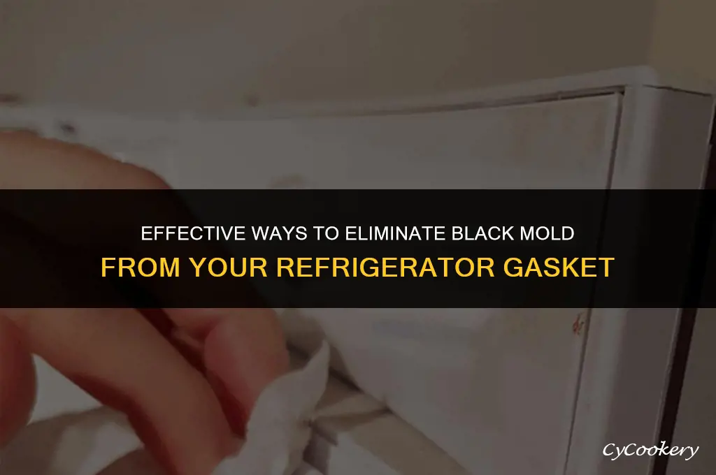how to remove black mold from refrigerator gasket