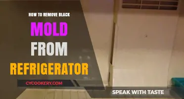 Effective Ways to Safely Remove Black Mold from Your Refrigerator