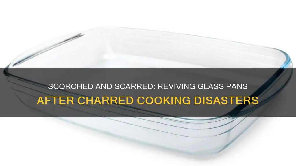 how to remove blackened charred food from glass pans