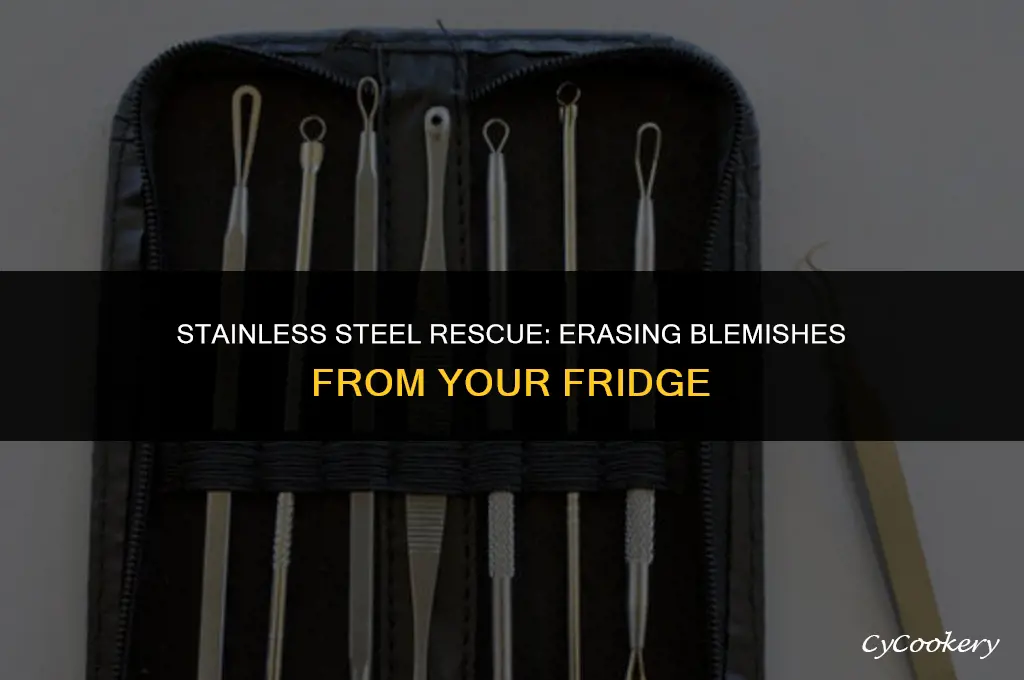 how to remove blemishes from stainless steel refrigerator
