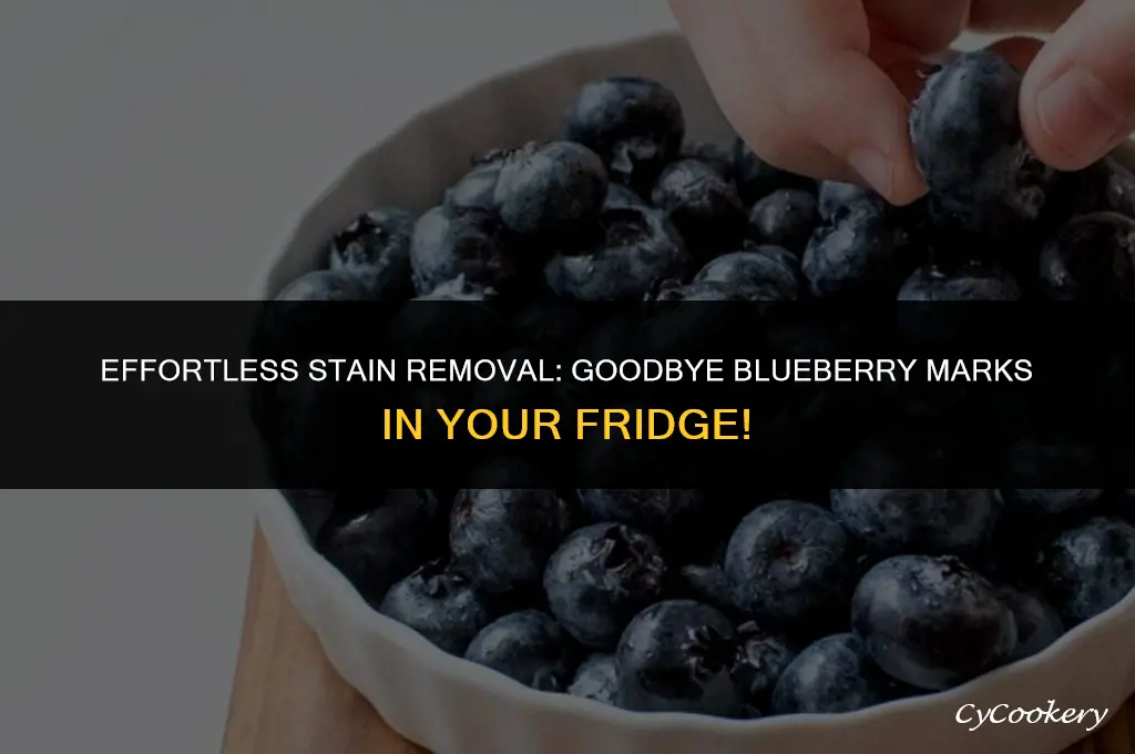 how to remove blueberry stain po ut of refrigerator