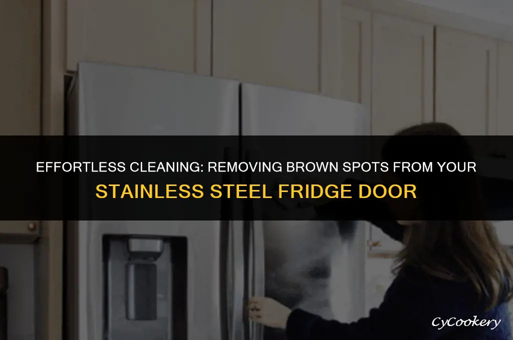 how to remove brown spots from ss refrigerator door