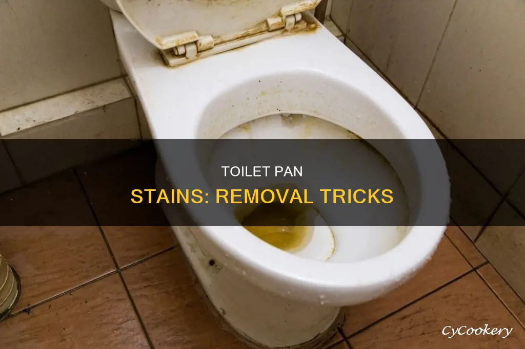 how to remove brown stains from toilet pan