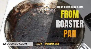 Effective Ways to Clean Your Roaster Pan's Burned Char