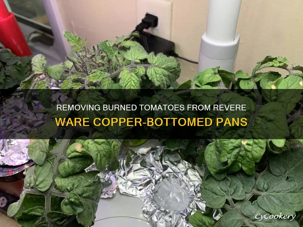 how to remove burned tomatoes from revere ware copper-bottomed pan