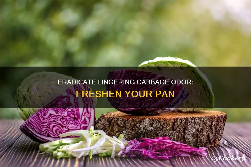 how to remove cabbage smell from pan