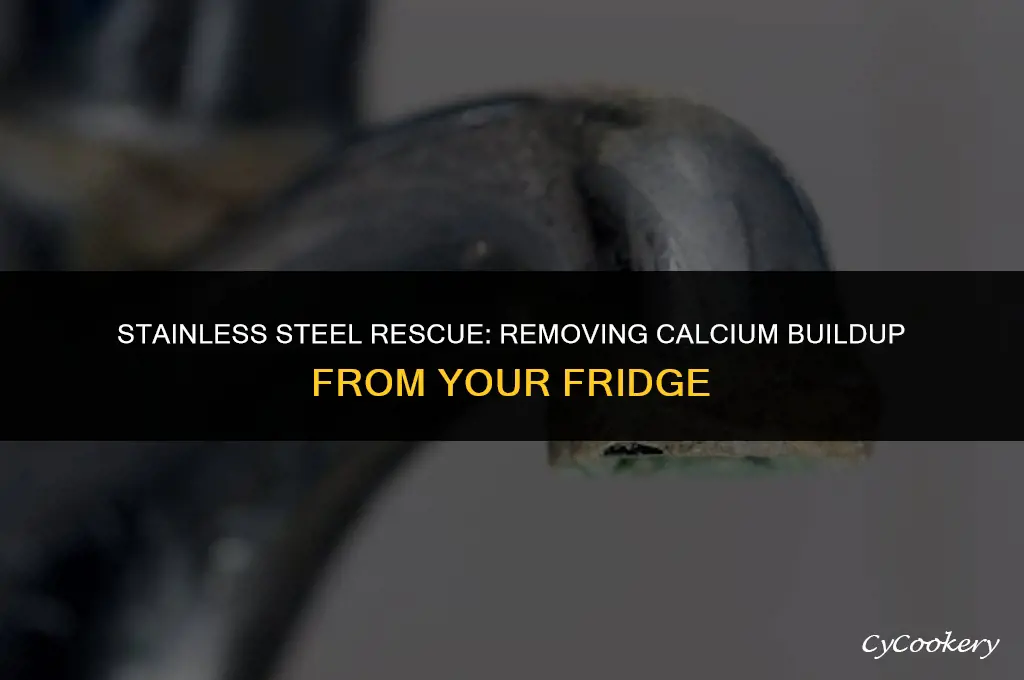 how to remove calcium from stainless steel refrigerator