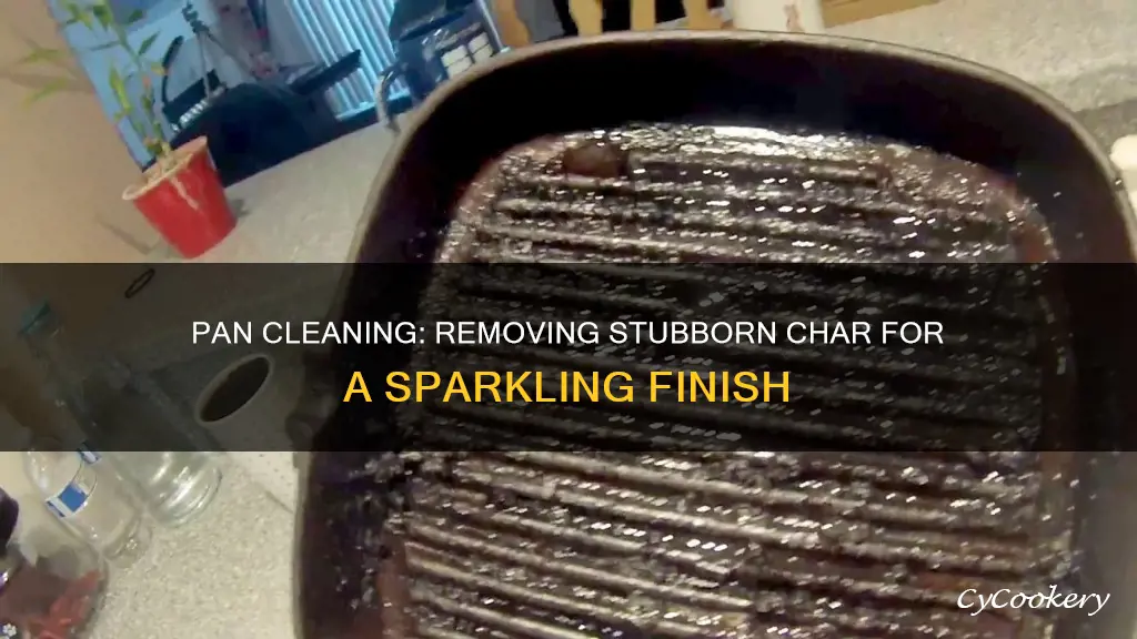 how to remove char from pan