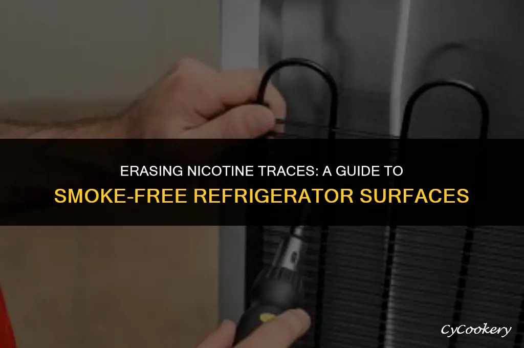 how to remove cigarette smoke stains from refrigerator
