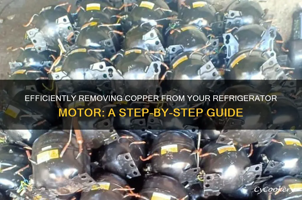 how to remove copper from refrigerator motor