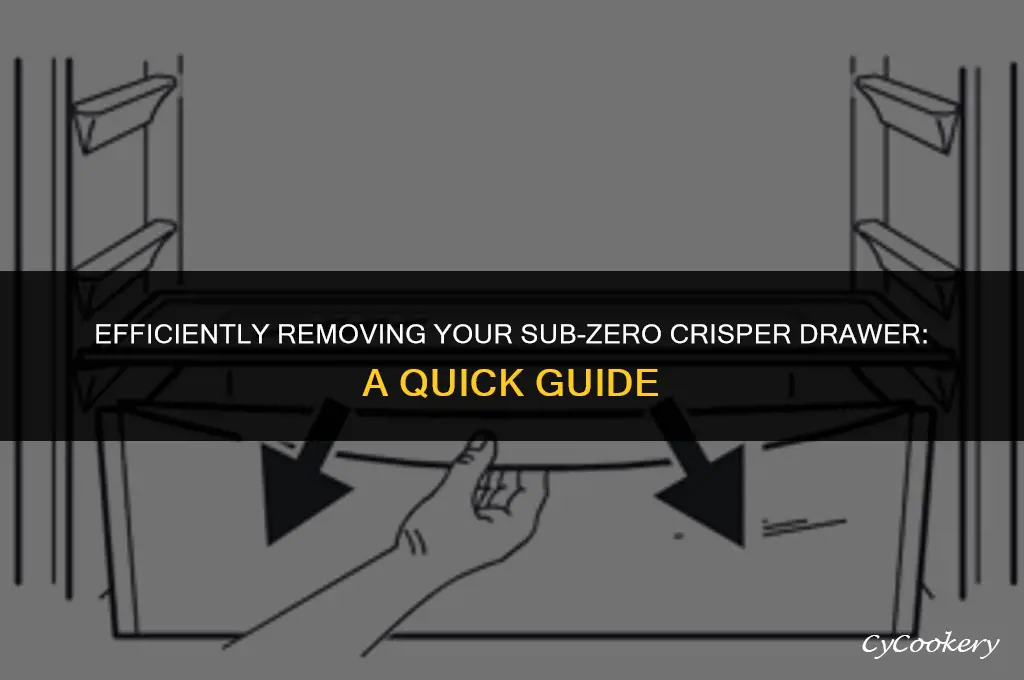 how to remove crisper drawer from sub zero refrigerator
