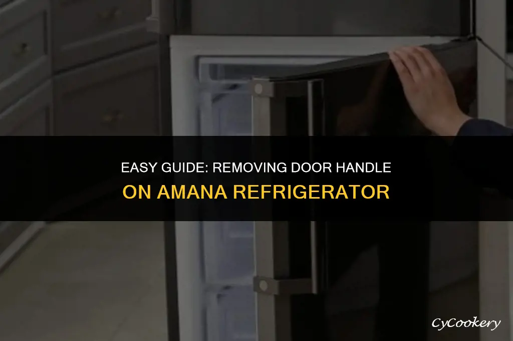 how to remove door handle on amana refrigerator