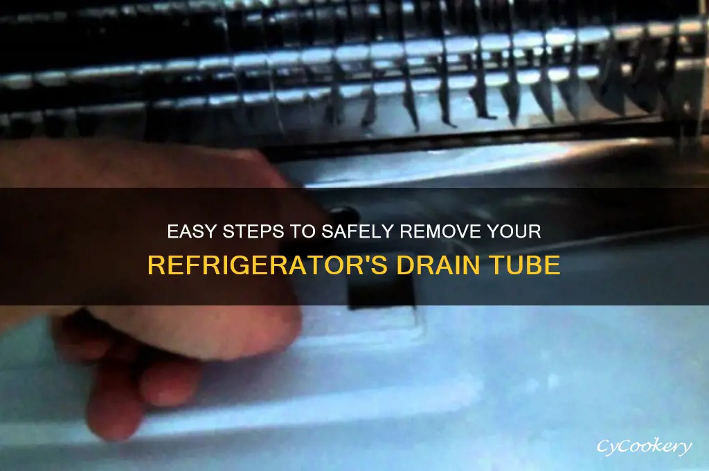 how to remove drain tube from refrigerator