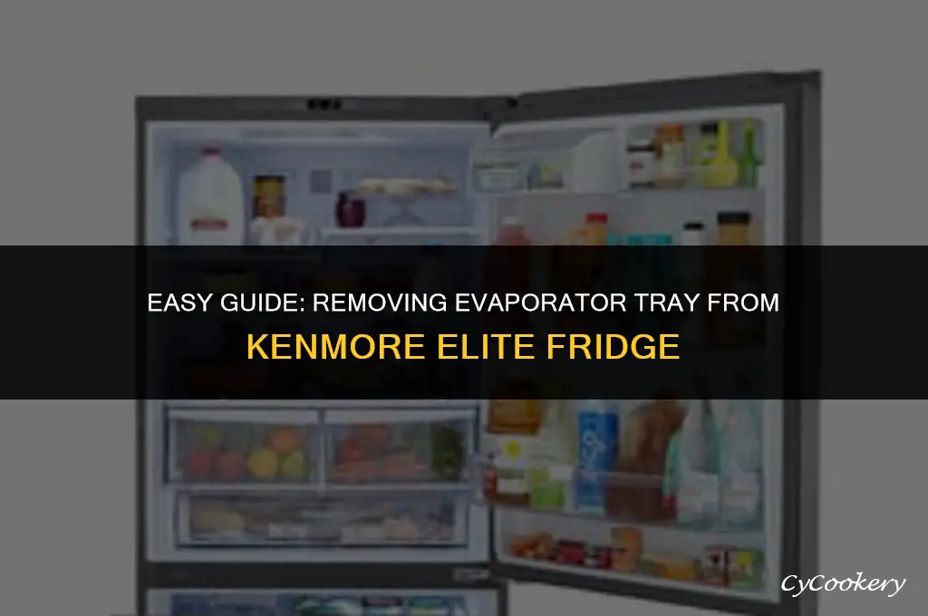 how to remove evaporator tray from kenmore elite refrigerator