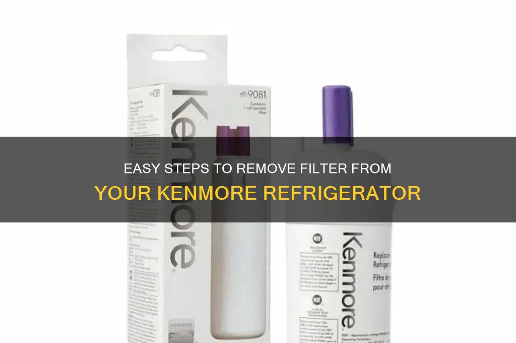 how to remove filter from kenmore refrigerator