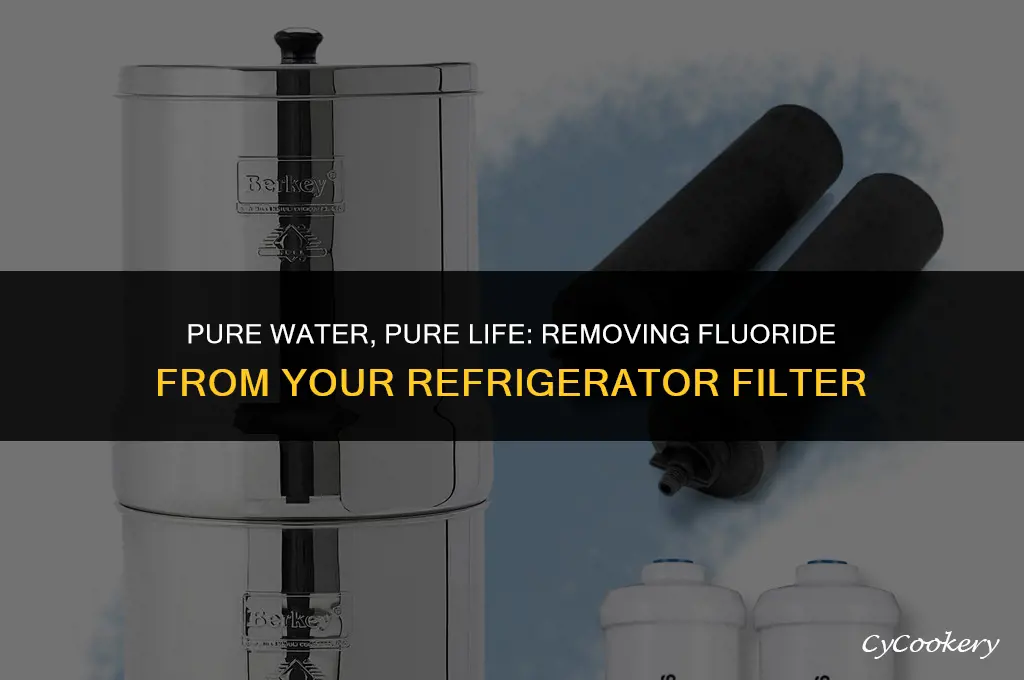 how to remove fluoride from your refrigerator filter
