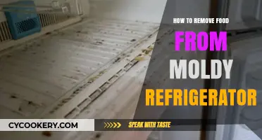 Effective Steps to Clean Moldy Food from Your Refrigerator Safely