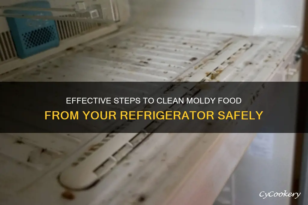 how to remove food from moldy refrigerator