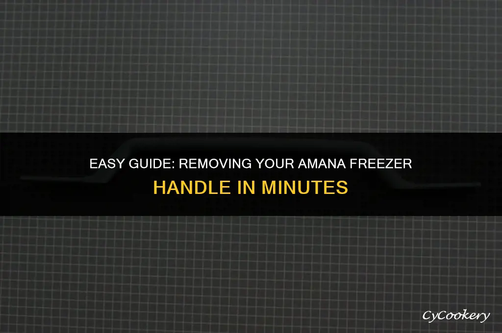 how to remove freezer handle on amana refrigerator