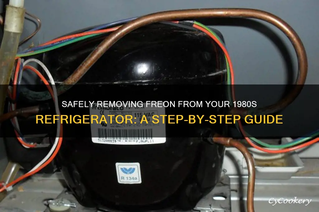 how to remove freon from 1980 refrigerator