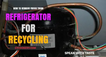 Eco-Friendly Fridge Recycling: Removing Freon Safely and Responsibly