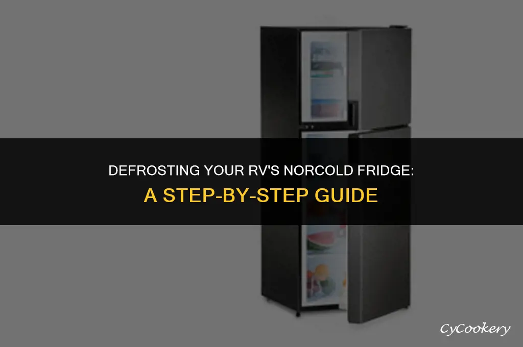 how to remove frost from norcold refrigerator for rv