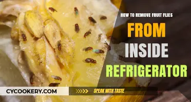 Effective Ways to Eliminate Fruit Flies from Your Refrigerator