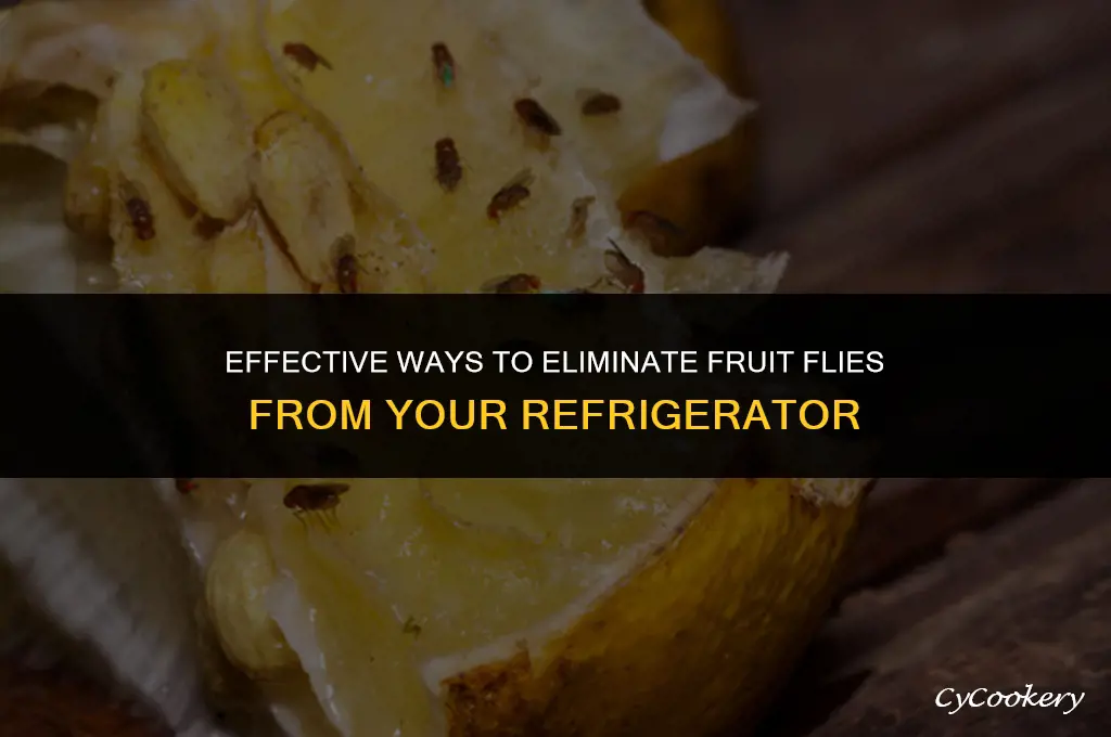 how to remove fruit flies from inside refrigerator