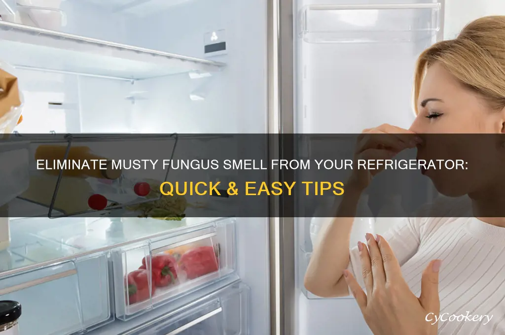 how to remove fungus smell from refrigerator