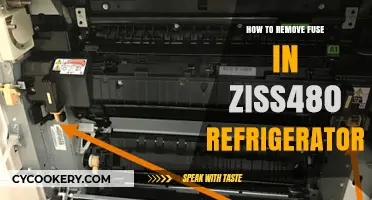 Easy Steps to Safely Remove Fuse in Ziss480 Refrigerator