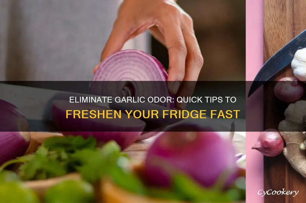 how to remove garlic smell from refrigerator