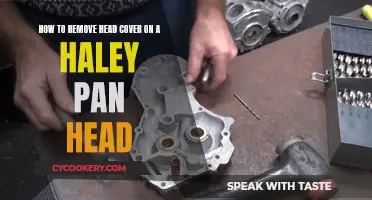 Unscrewing the Haley Pan Head: Removing the Head Cover