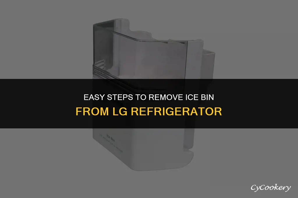 how to remove ice bin from lg refrigerator