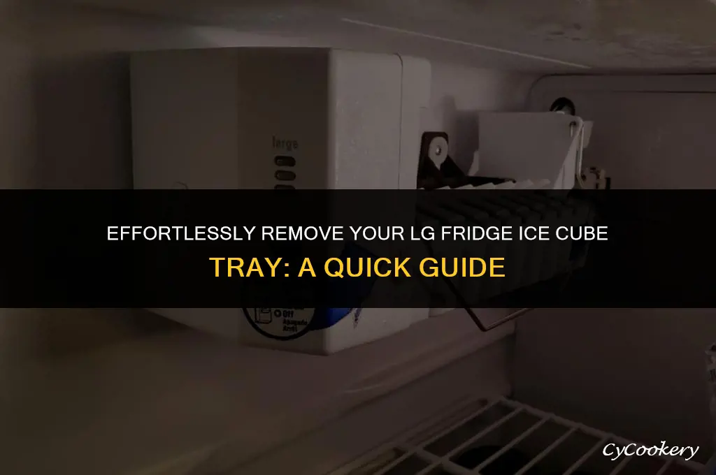 how to remove ice cube tray from lg refrigerator