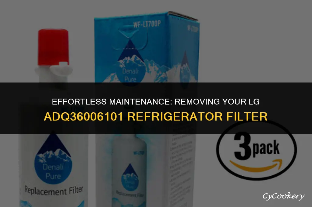 how to remove lg refrigerator filter model adq36006101
