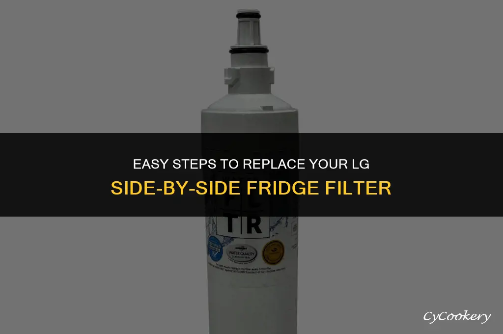 how to remove lg side by side refrigerator filter