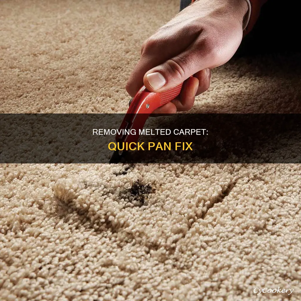 how to remove melted carpet from pan