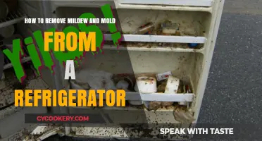 Freshen Up Your Fridge: A Guide to Mold and Mildew Removal