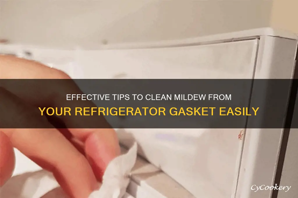 how to remove mildew from refrigerator gasket