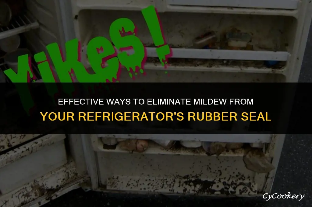 how to remove mildew from rubber seal on refrigerator