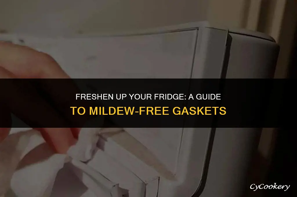 how to remove mildew stains from refrigerator gasket