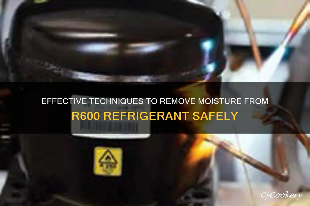 how to remove moisture fro r600 refrigerant