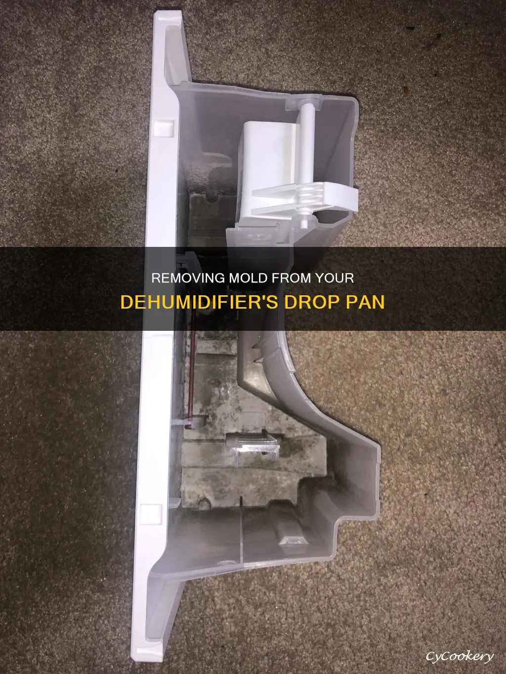 how to remove mold from drop pan dehumifieer